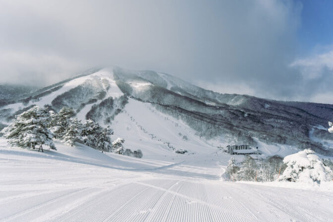 日本最大級のツリーランコースとパウダーで地形を楽しむ。「斑尾高原スキー場」