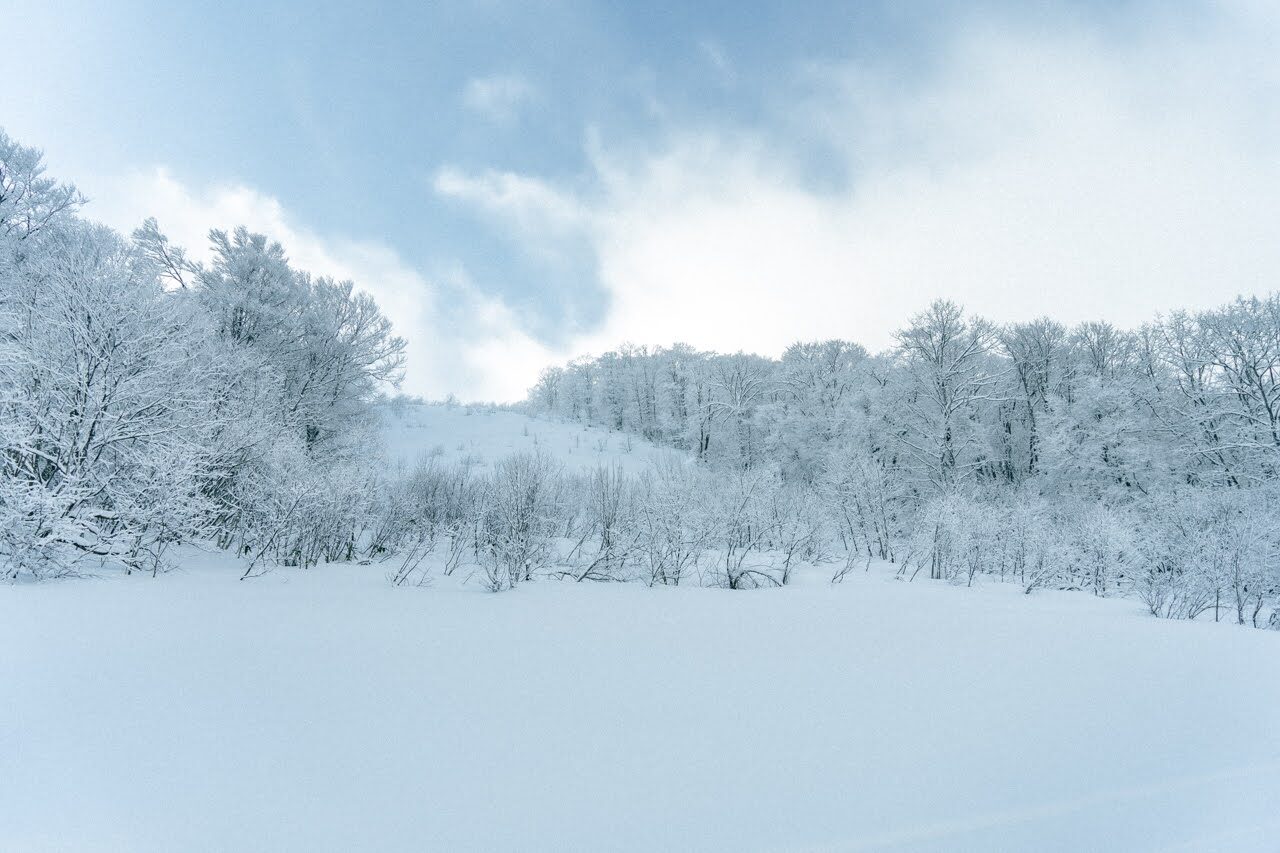 猫魔スキー場の降雪
